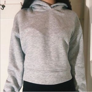 Zara Gray Crop Sweater
